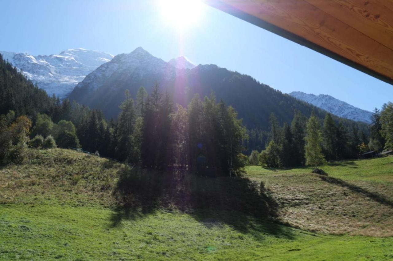 Modern Chalet With Garden Chamonix Ngoại thất bức ảnh